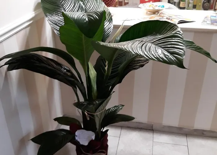 فندق مبيت وإفطار A Casa Di Simona